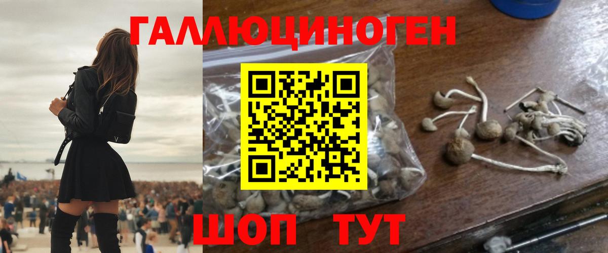 Псилоцибиновые грибы Magic Shrooms  Вход с VPN  Нальчик 